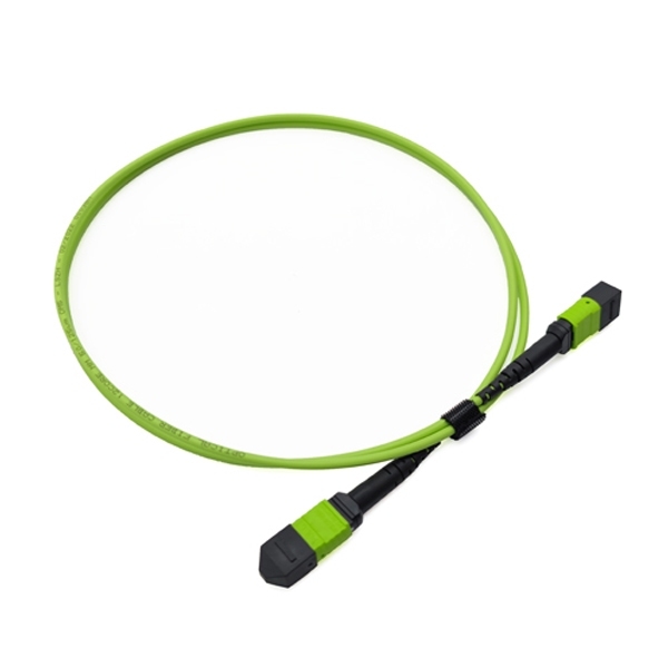 12 fiber mpo type b fiber patch cord polarity change 2m om5