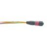 12 fibers mtp to lc patch cord pigtails om4 100g purple 0.9mm