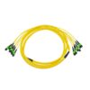 72 fiber mpo truck cable g657a1 lszh data center 800g transceivers