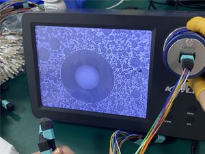 internal quality control endface check