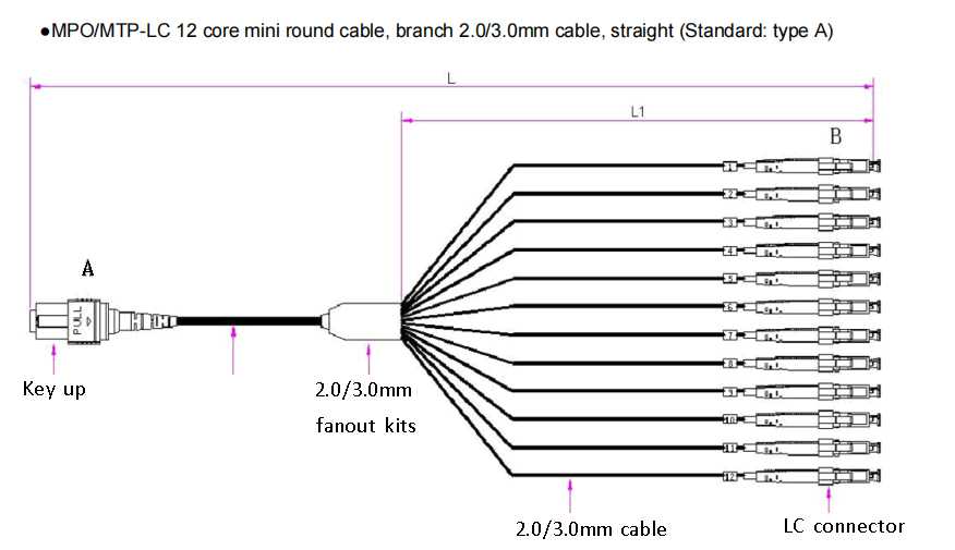 Diagram of 12 fiber mpo to lc breakout cable om3 uniboot aqua pc