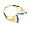12 cores distribution cable fibre patch leads,6.0mm yellow lszh sm,fanout cable 0.9mm 30cm optical fiber pigtails lc/upc to lc/upc blue
