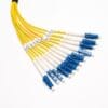 12 cores distribution cable fibre patch leads,6.0mm yellow lszh sm,fanout cable 0.9mm 30cm optical fiber pigtails lc/upc to lc/upc blue