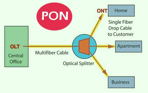 pon network featured picture