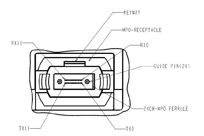 100g cxp tranceiver mpo channel