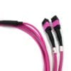 200g mpo 24 fiber cable to 2x12 100g fiber mtp mpo fiber breakout cable, mm om4 50um violet