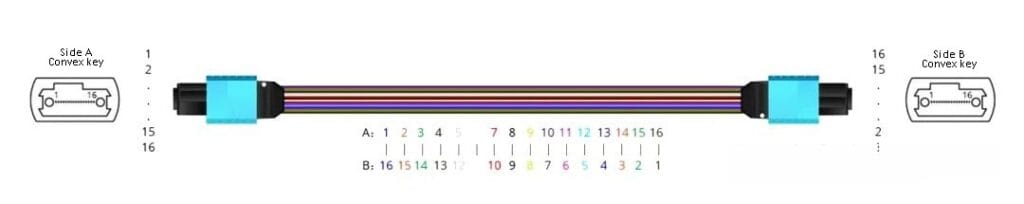 mpo 16 connectors polarity
