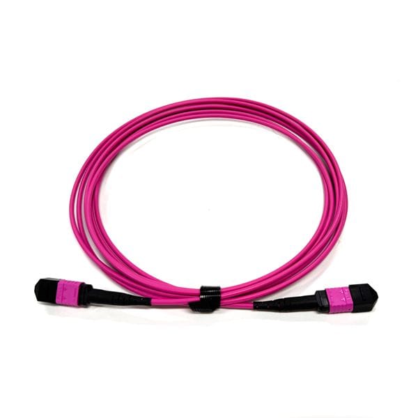 100g qsfp28 24 fiber mtp mpo fiber breakout cable, mm om4 50/125um, 24 fiber mpo female connetor , violet