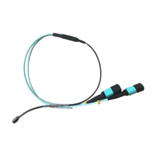 hpc, dci, aerospace use 48 fibers mt mpo patch cord 1mt, fanout 2x 24 fiber mpo connectors, om3 10g aqua 20cm