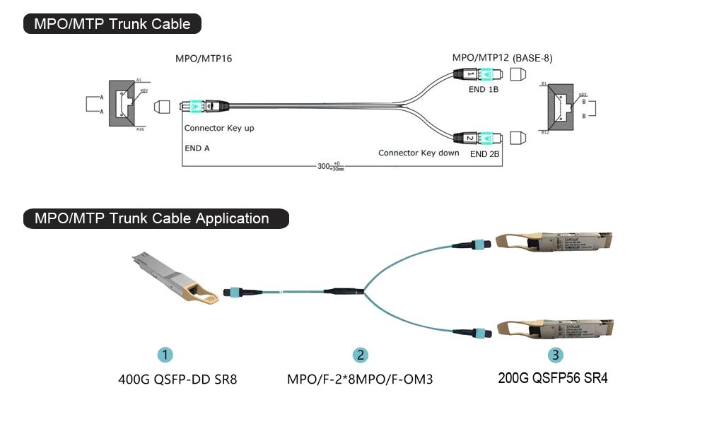 16f 2x8f trunk cable and application