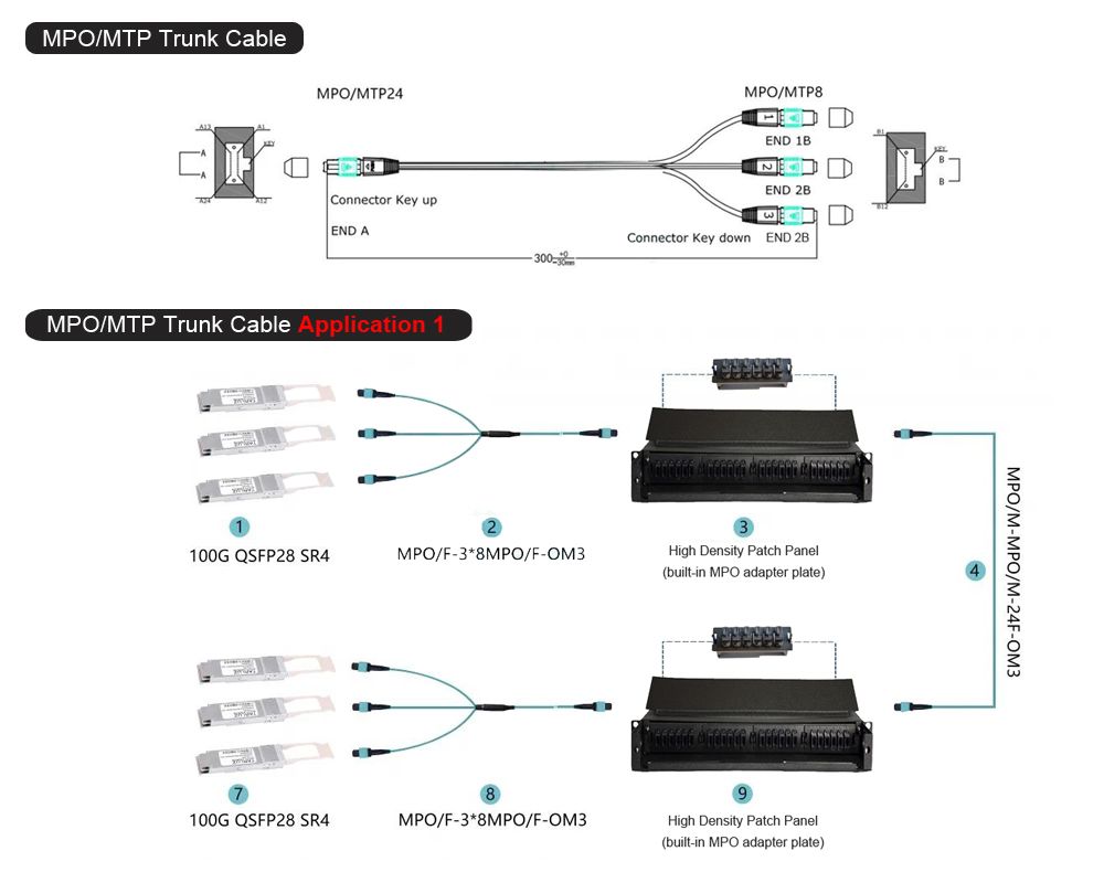 mpo 24 to 3x 8 mpo trunk cable
