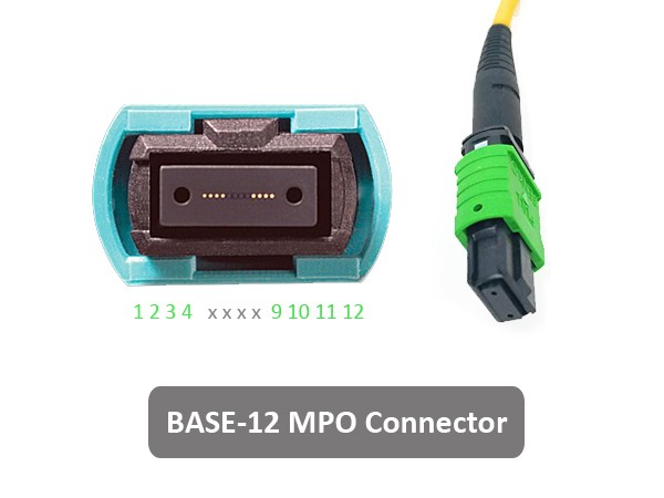 Connettore base 12 MPO MTP per cavi MPO (Multiple Power Pipe) secondo gli standard industriali del settore. connettore base 12 mpo