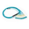 10g om3 mpo 24 breakout cable aqua lszh 3mts, fanout 24 lc/pc pigtails, best for base 24 mpo cassette panel
